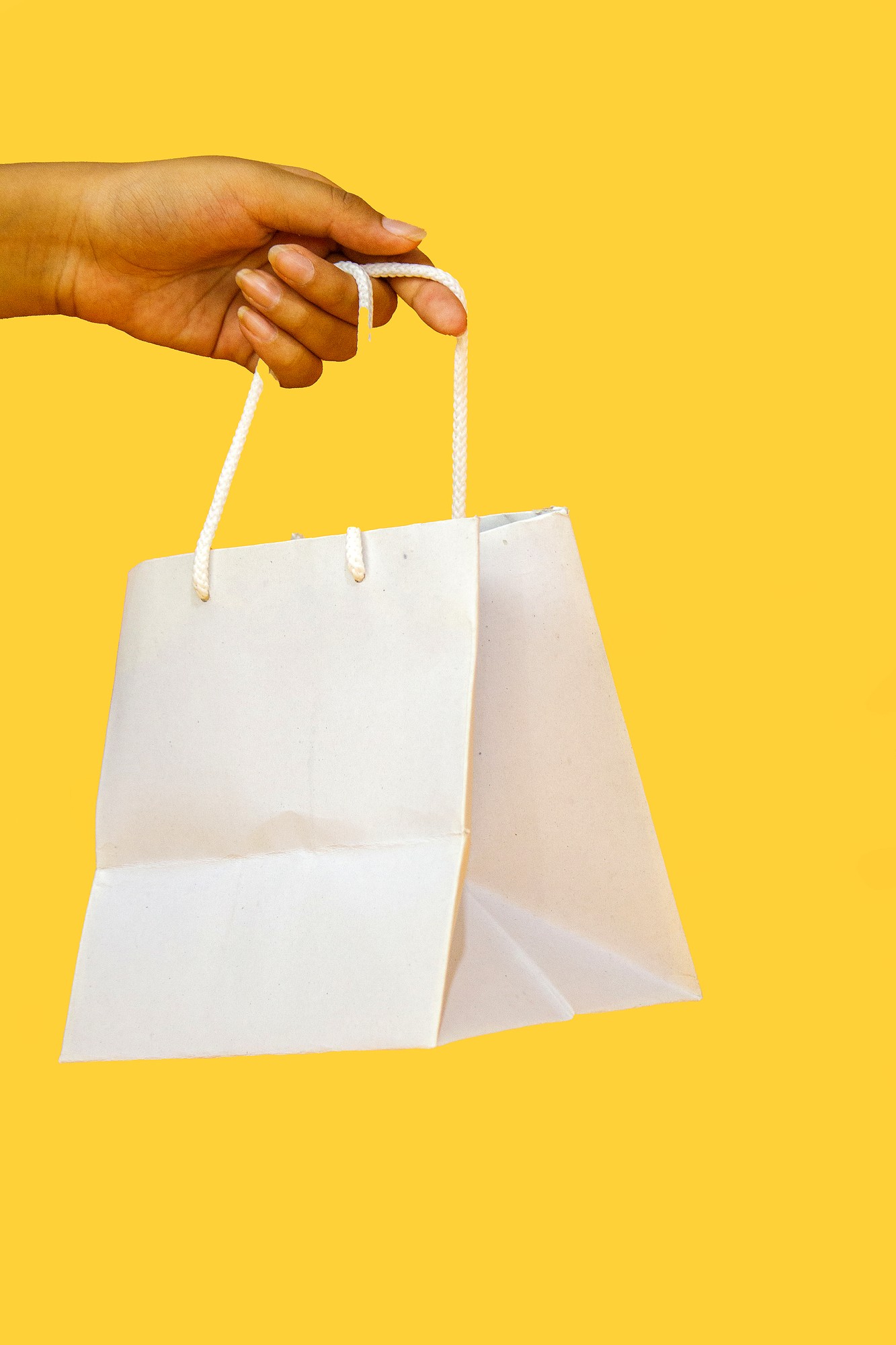 Handcrafted Rope-Handle White Paper Bag Specimen - Eco Promotional Industries