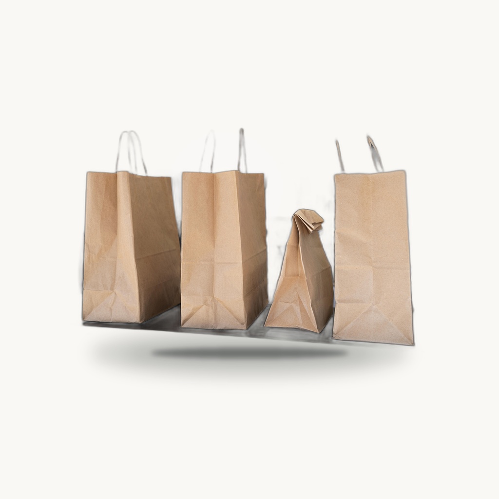 Brown Kraft Paper Bag Design #11 - Eco Print & Pack Nepal